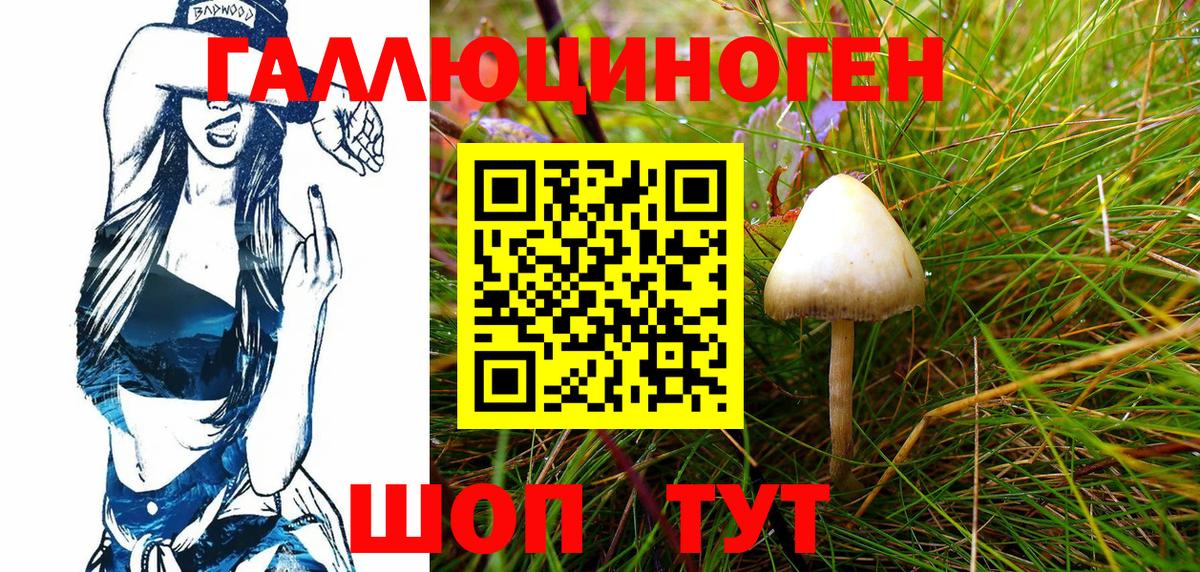 Галлюциногенные грибы Psilocybe  купить наркотики цена  Нягань  Вход с VPN 